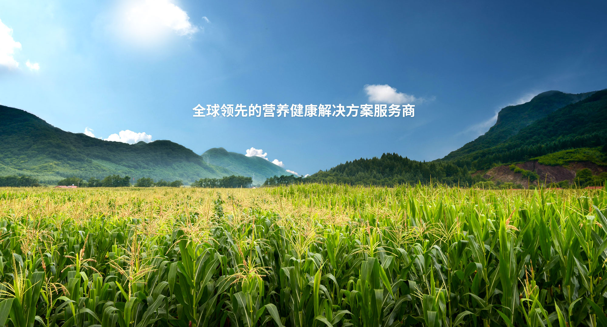 液壓機廠家